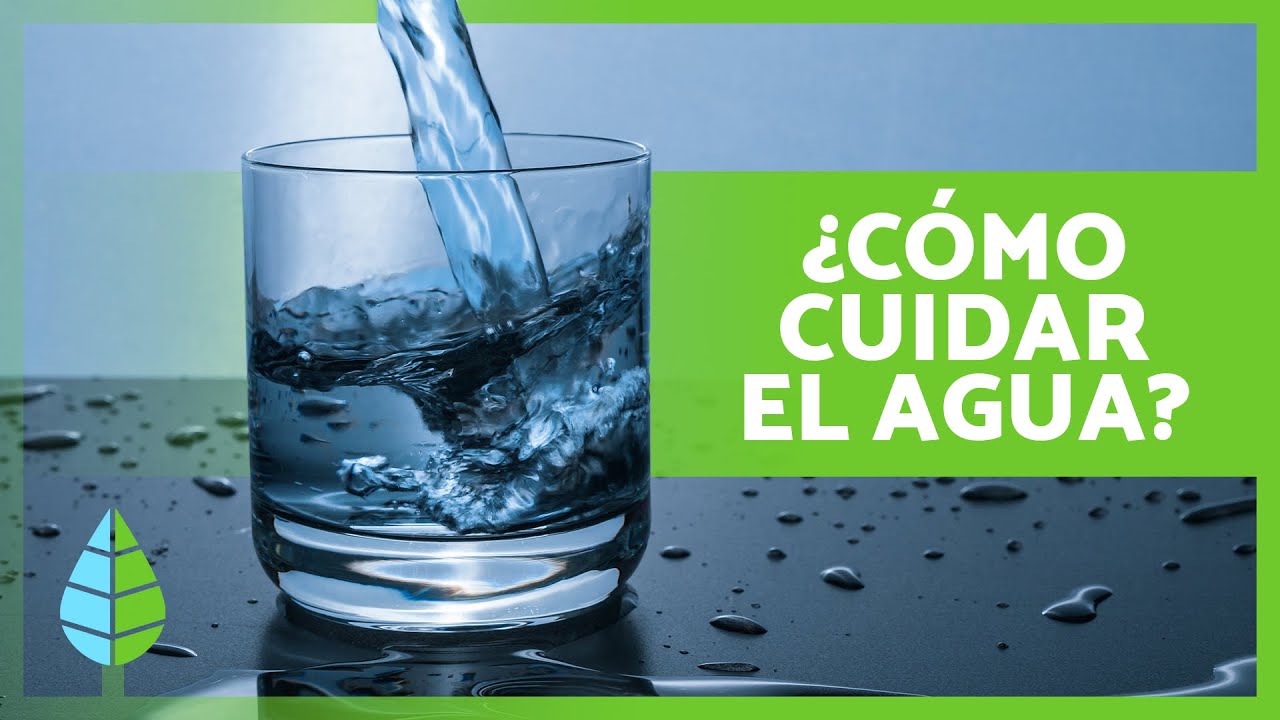 50 acciones para cuidar el agua