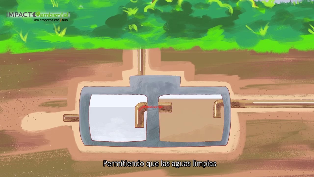 bacterias para fosa séptica leroy merlin