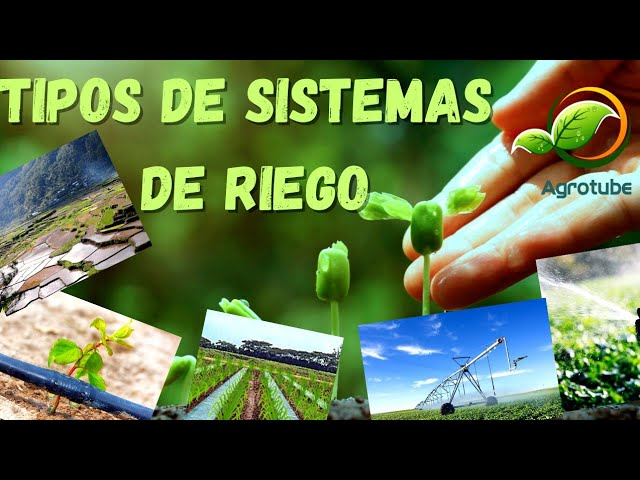 cuáles son los 6 tipos de riego