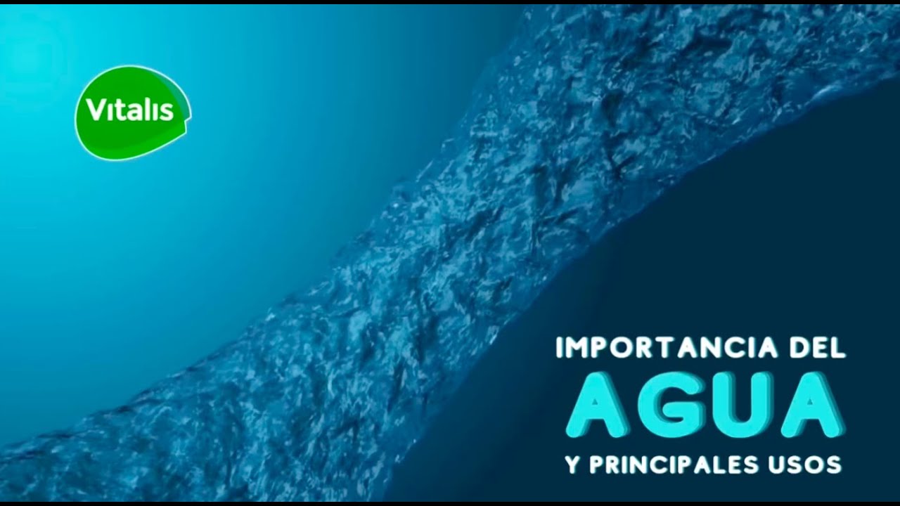 cuales son los principales usos del agua