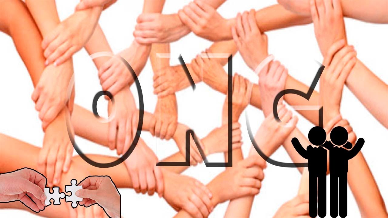 cuantas ong hay en el mundo