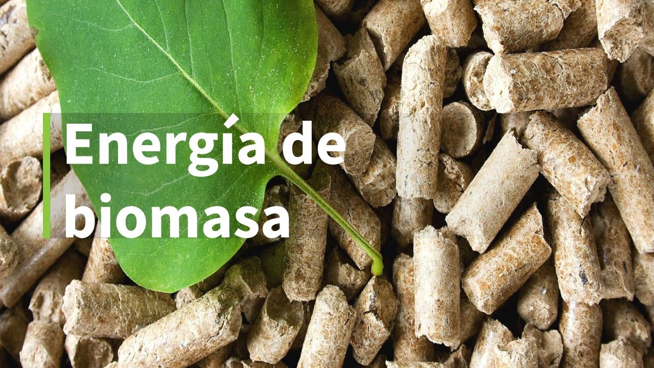 ventajas y desventajas de la energía biomasa
