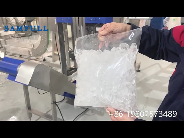 bolsa de hielo de 5 kg