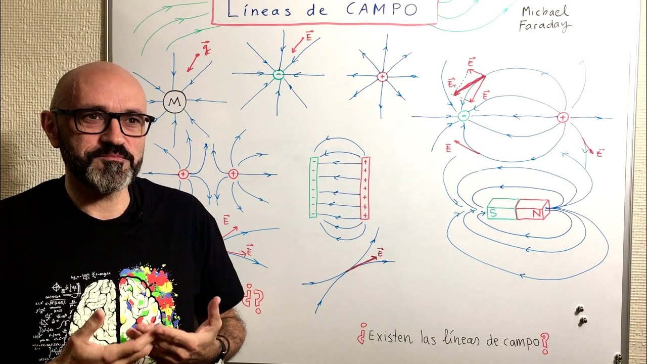 caracteristicas de las lineas de campo