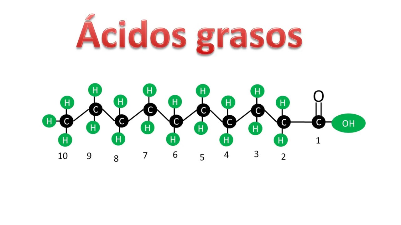 como se nombran los acidos grasos