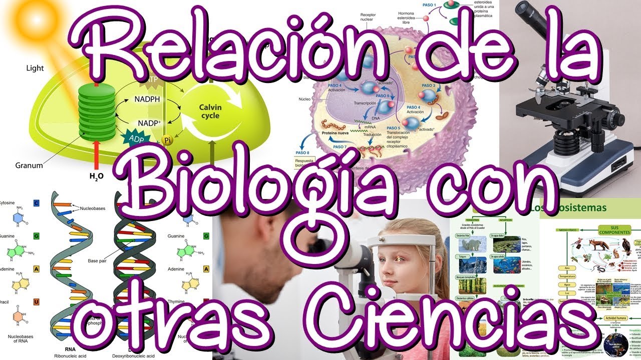 como se relaciona las matematicas con la quimica