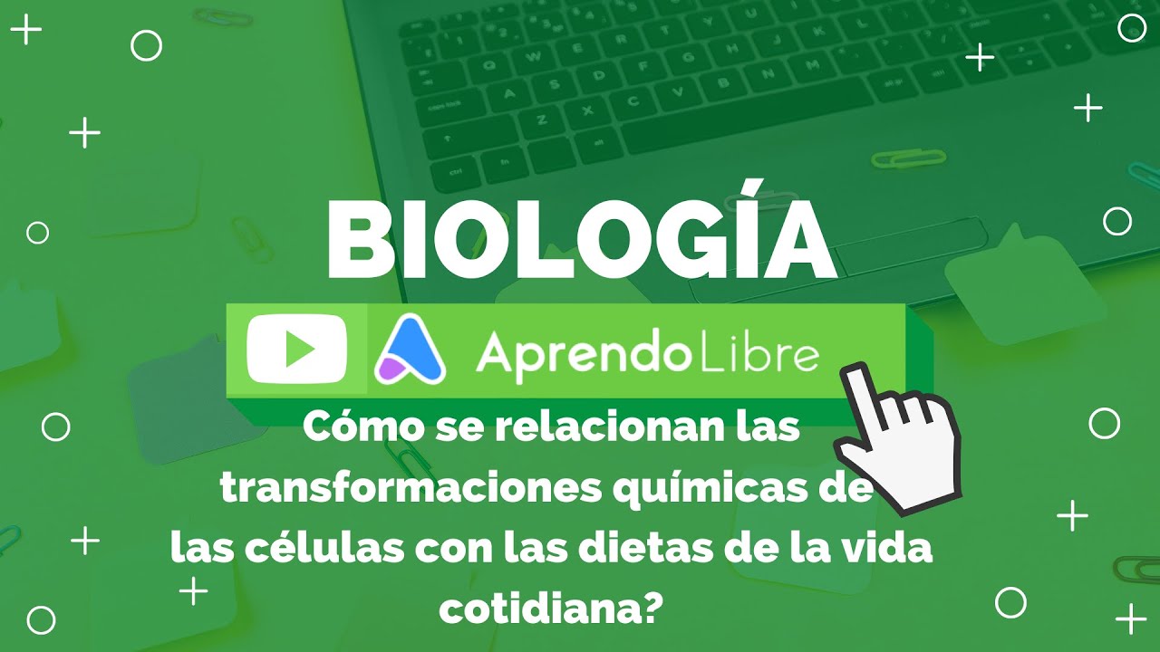 como se relacionan las transformaciones químicas en la vida cotidiana