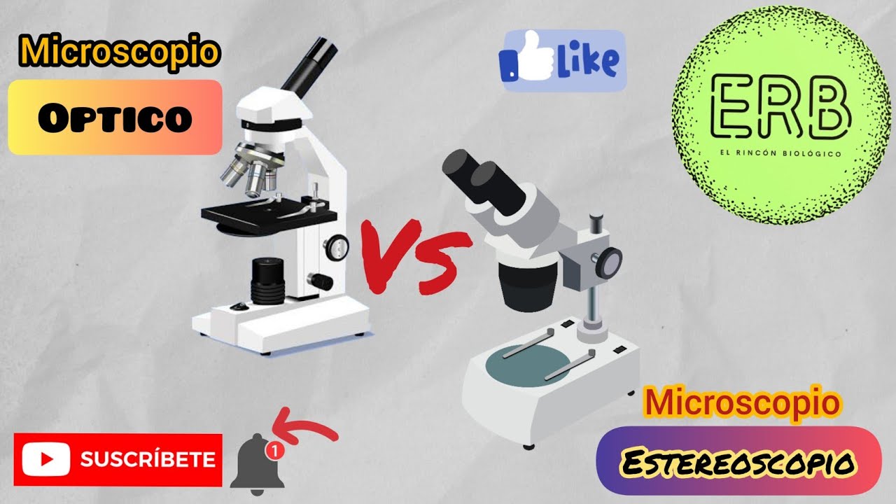 cual es la diferencia entre microscopio simple y compuesto