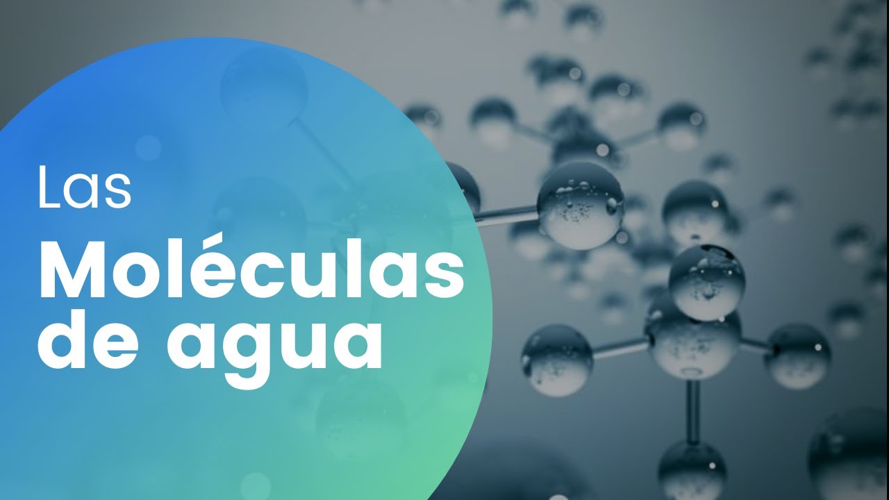en que caso las moléculas de agua tienen mas energía