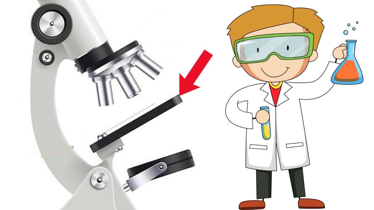 funcion del ocular en el microscopio