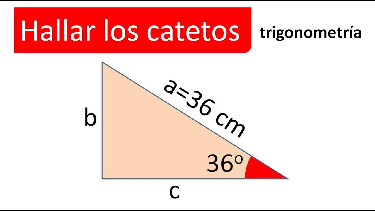 hallar catetos solo con la hipotenusa