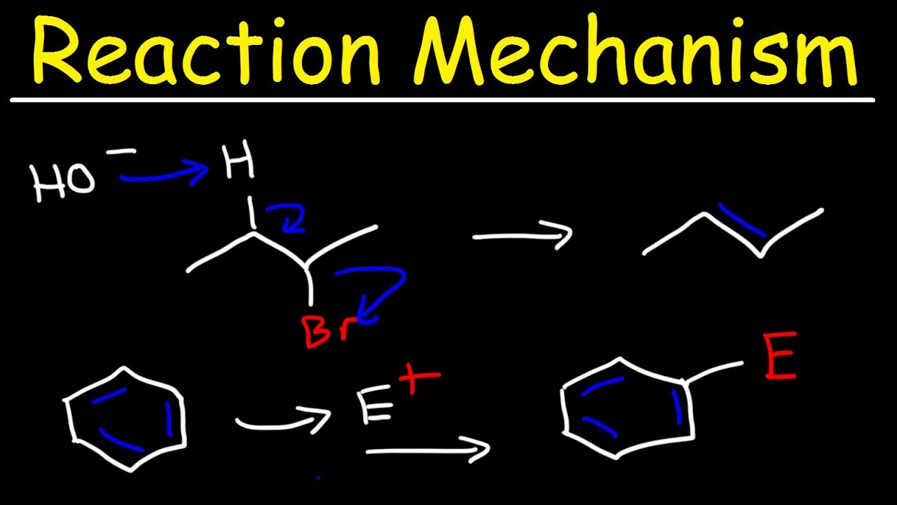 mechanism and theory in organic chemistry
