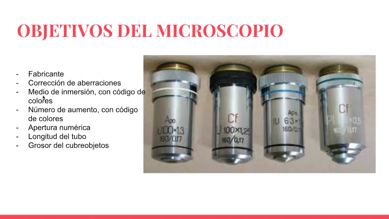 para qué sirven los objetivos del microscopio