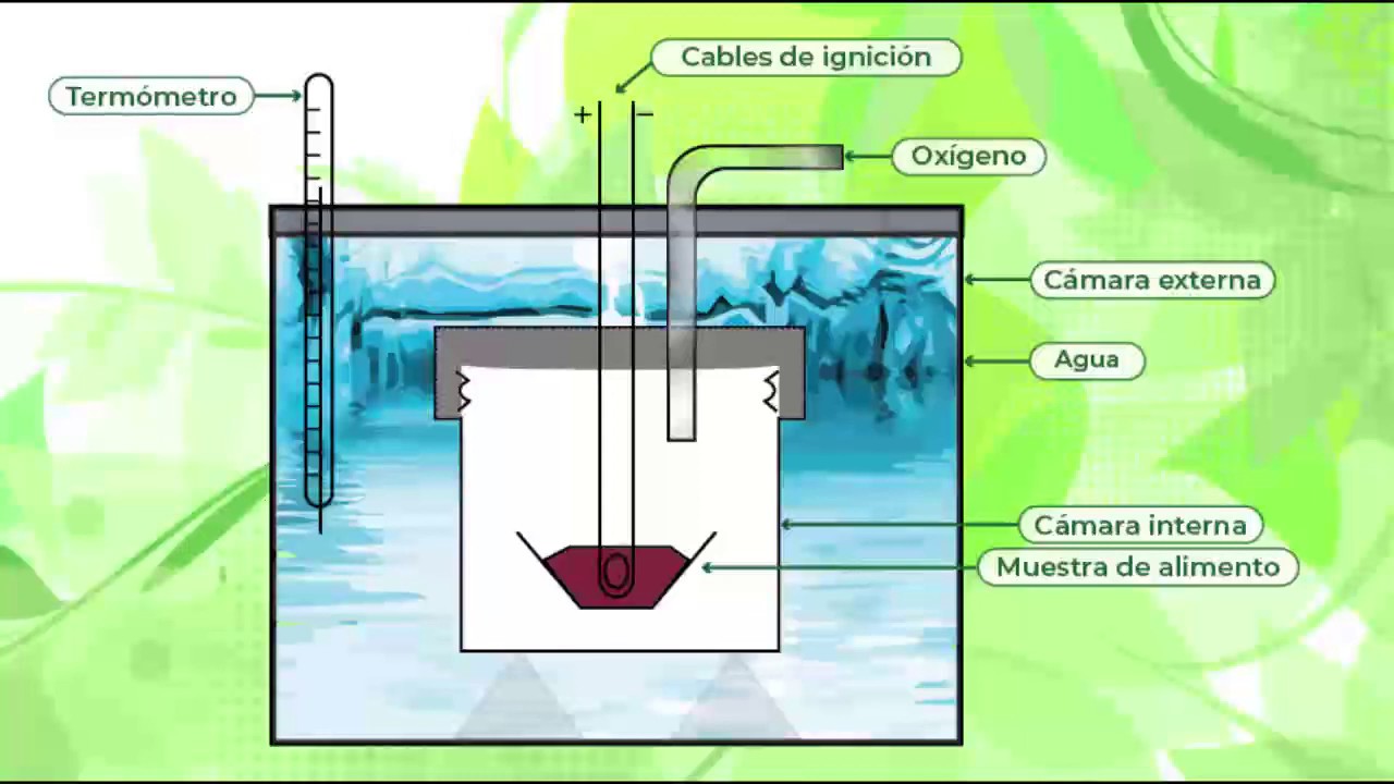 partes del calorimetro y sus funciones