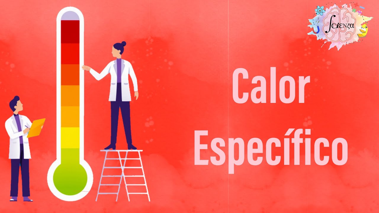 que importancia tiene el elevado calor especifico del agua