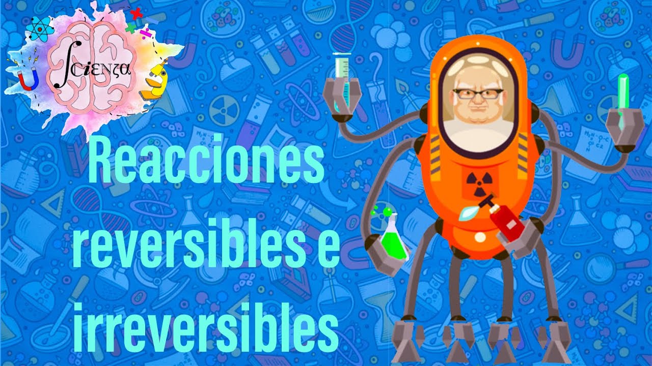 reacciones quimicas reversibles en el cuerpo humano