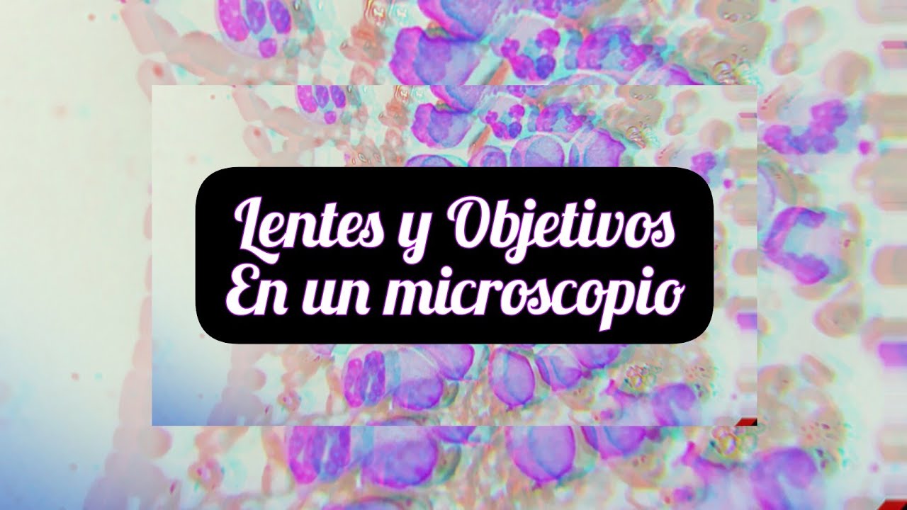 caracteristicas de los lentes objetivos del microscopio