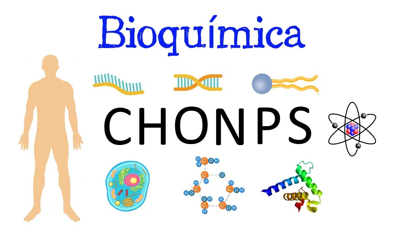 como ayuda la quimica a la biologia