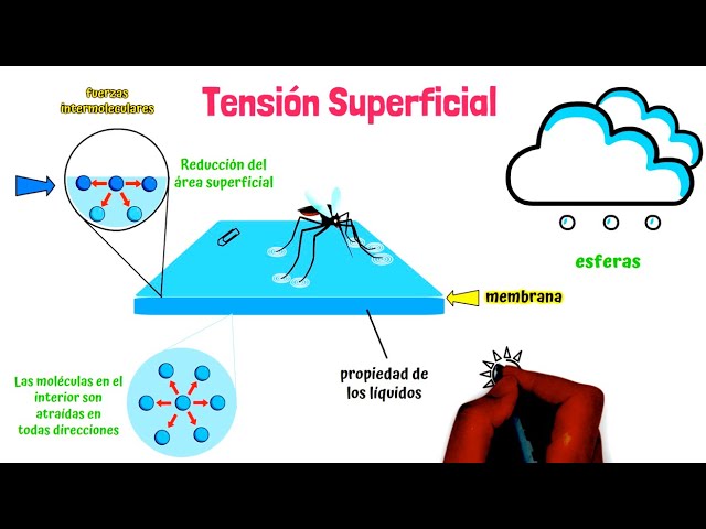 como cambia la tension superficial con la temperatura