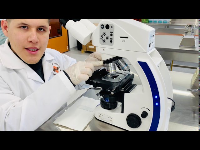 como se usa un microscopio compuesto