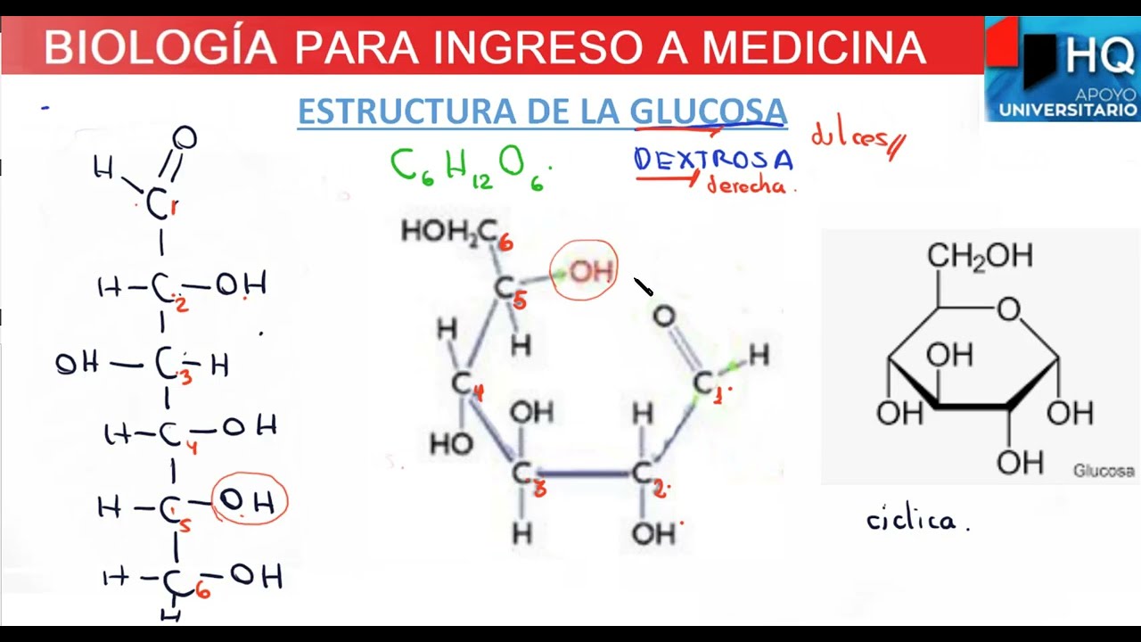 cual es la formula molecular de la glucosa
