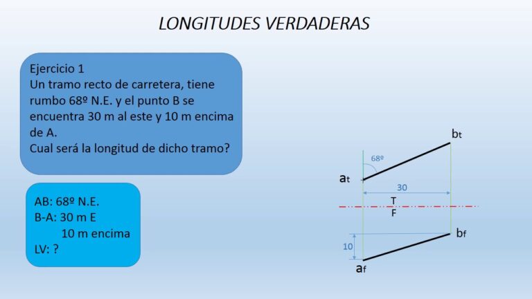 Cual Es La Longitud De La Linea Recta grupomobilitymurcia.es