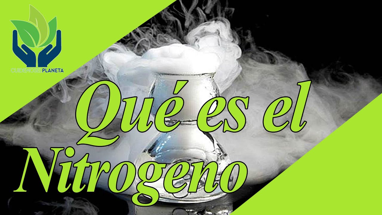 donde se encuentra el nitrogeno en la vida cotidiana