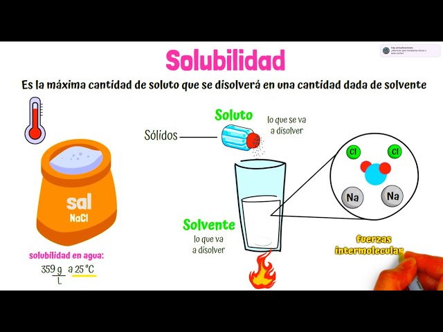 importancia de la solubilidad en la vida diaria