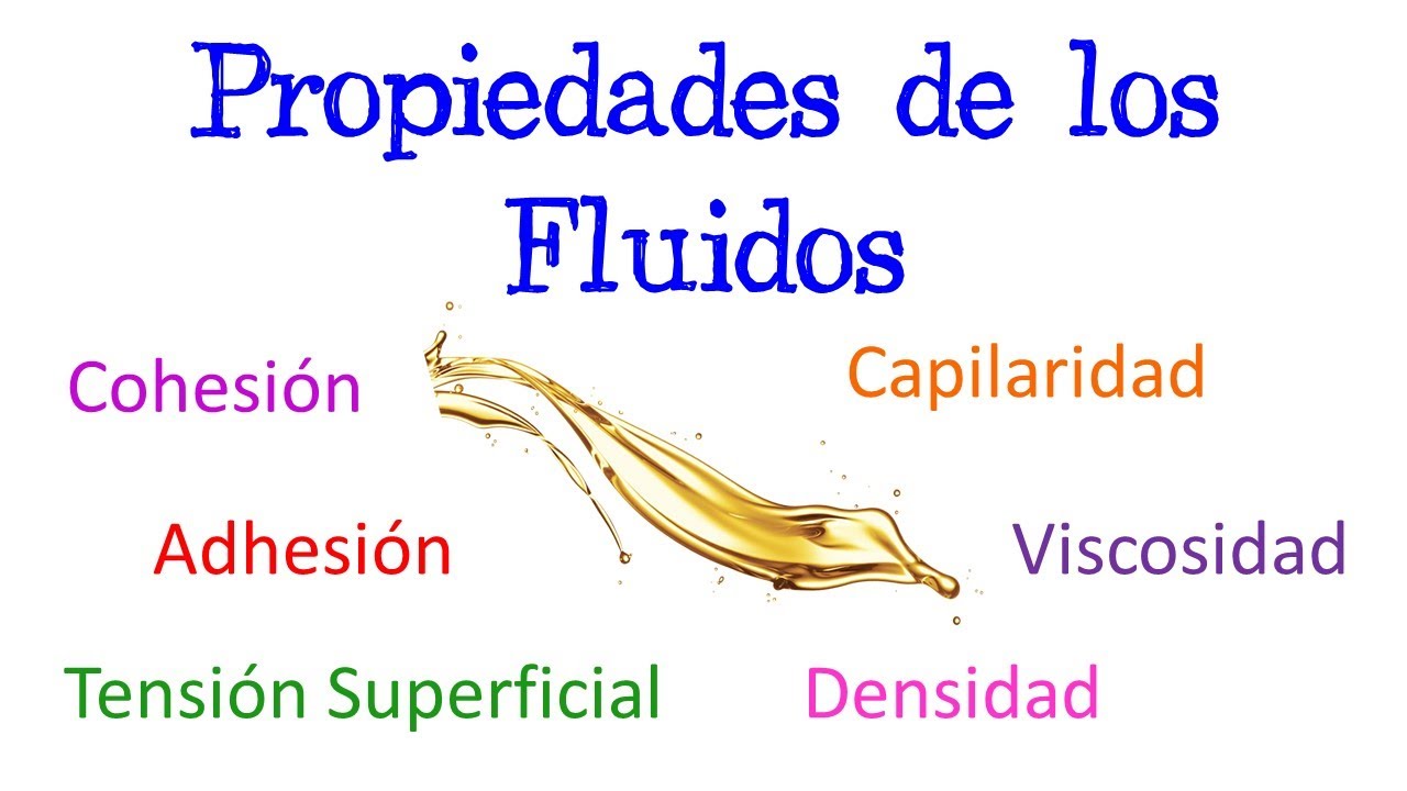 importancia de los fluidos en fisica