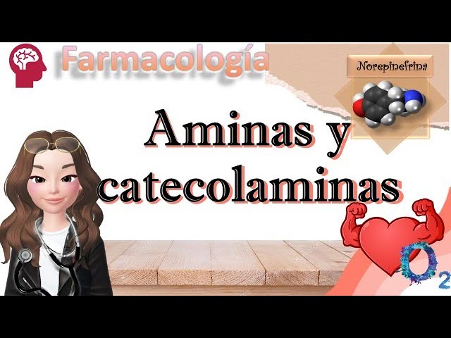 para que sirven las aminas en el cuerpo humano