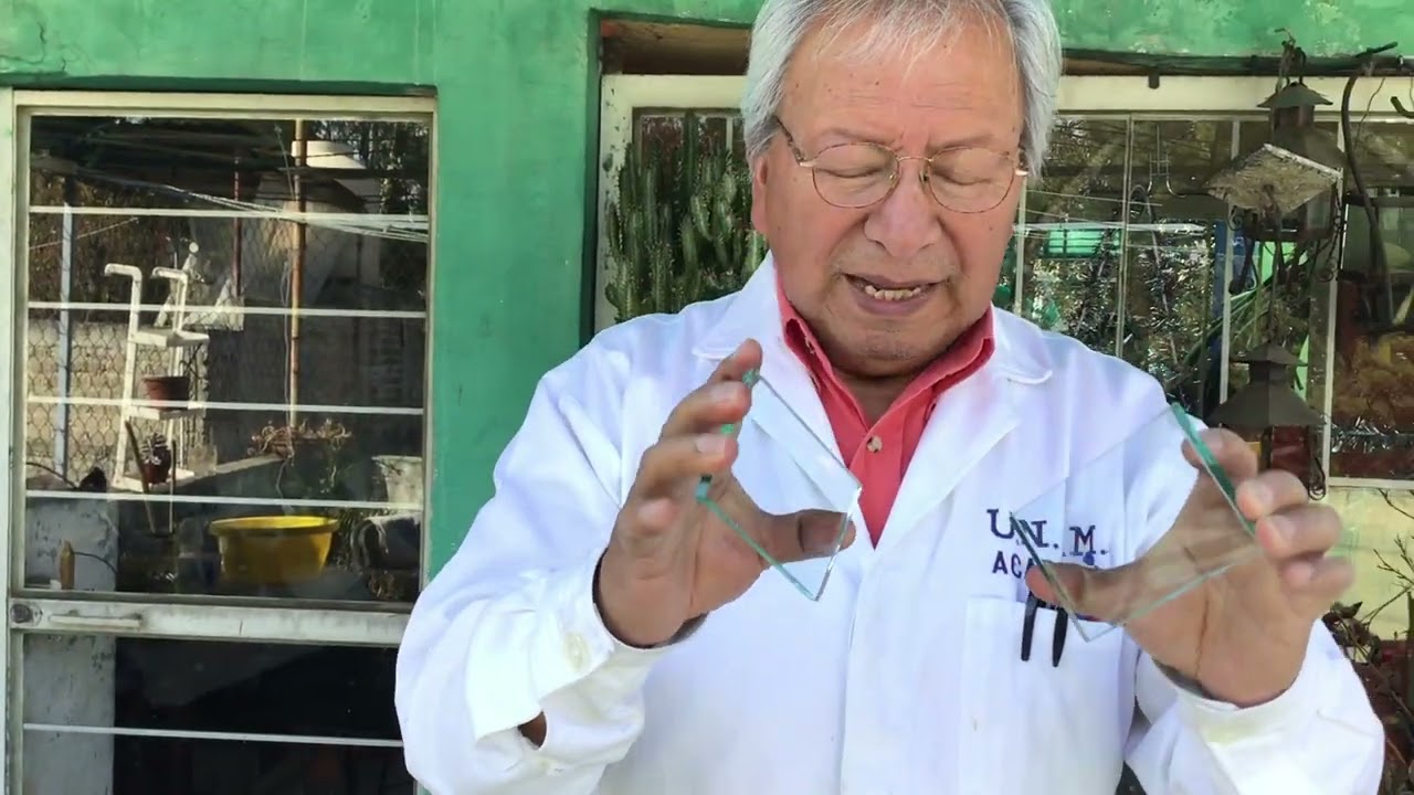 propiedades fisicas y quimicas del petroleo