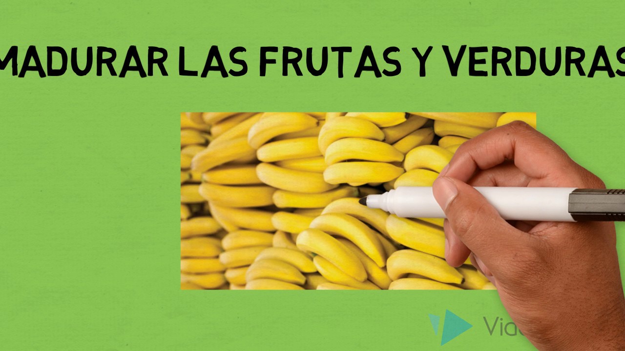 uso de los alquenos en la vida cotidiana