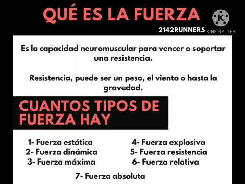 4 tipos de fuerza en educacion fisica