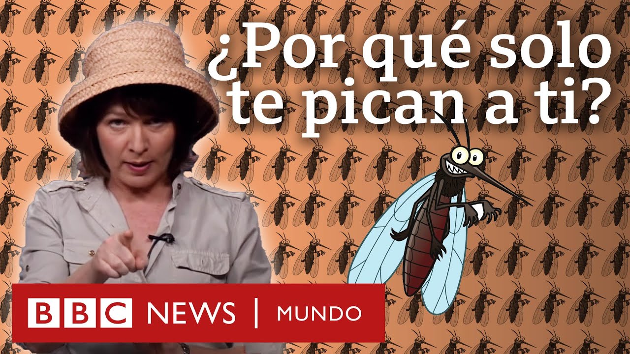 a que tipo de sangre pican mas los mosquitos