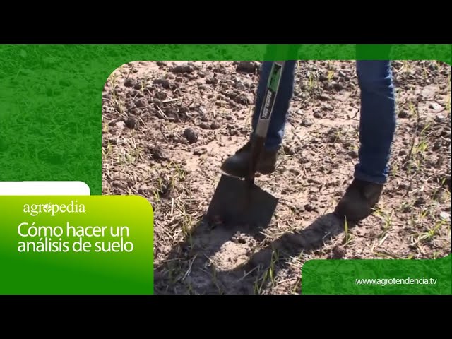 aditivos para el cultivo en tierra