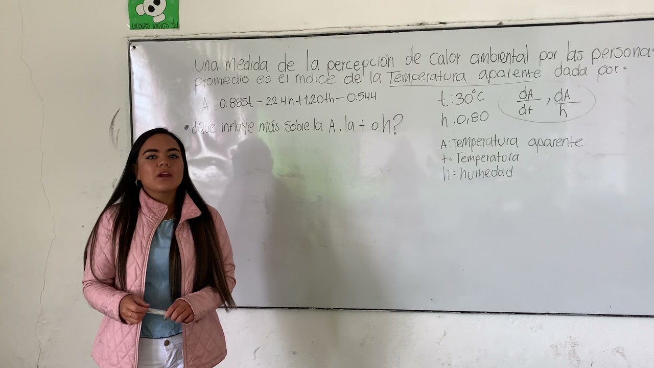 aplicaciones de derivadas parciales en ingenieria ambiental