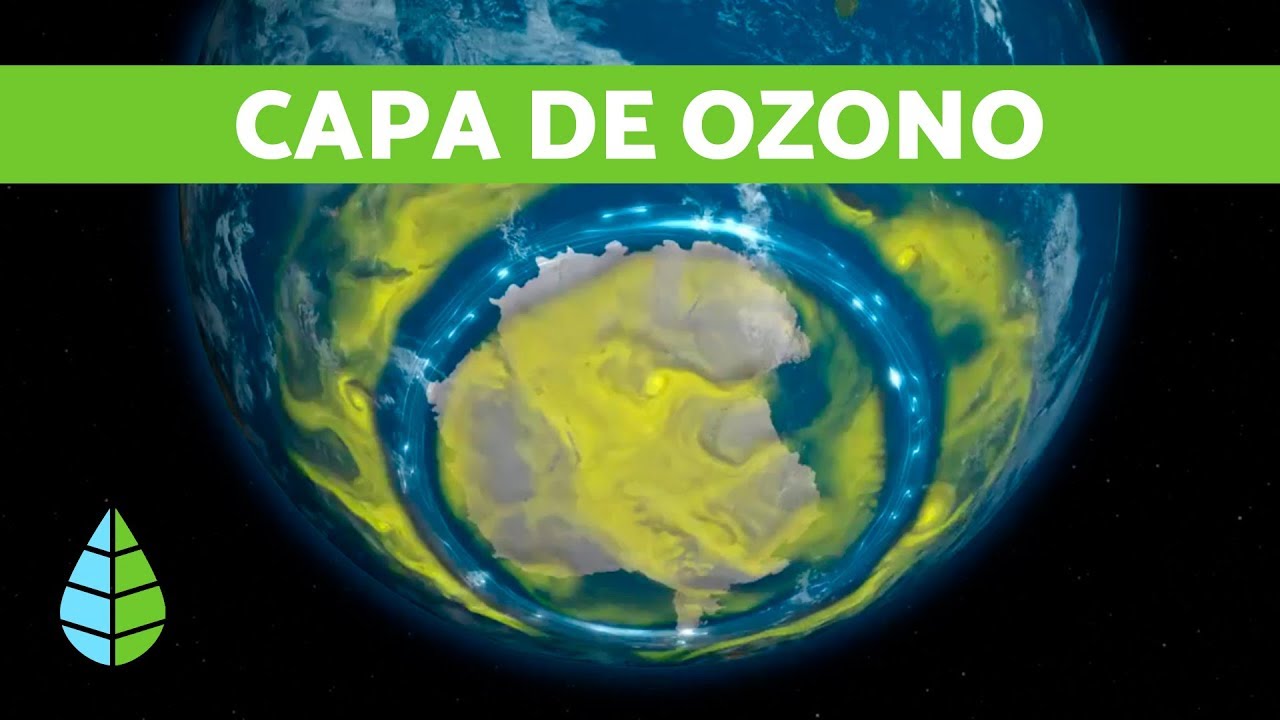 como evitar la destruccion de la capa de ozono