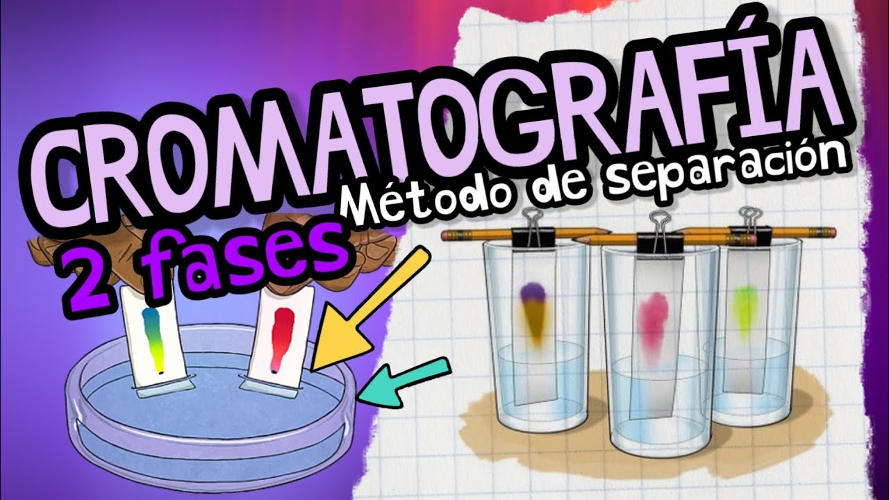 como se lleva a cabo la cromatografia