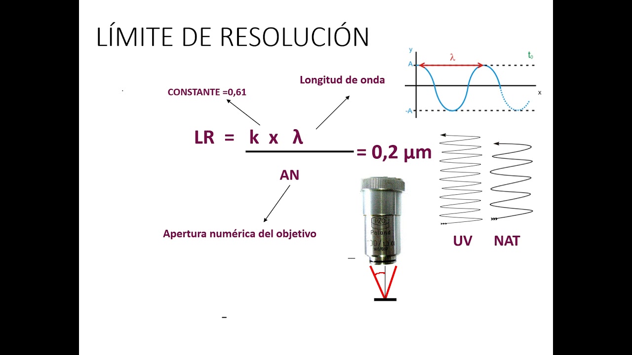 cual es la diferencia entre magnificacion y resolucion