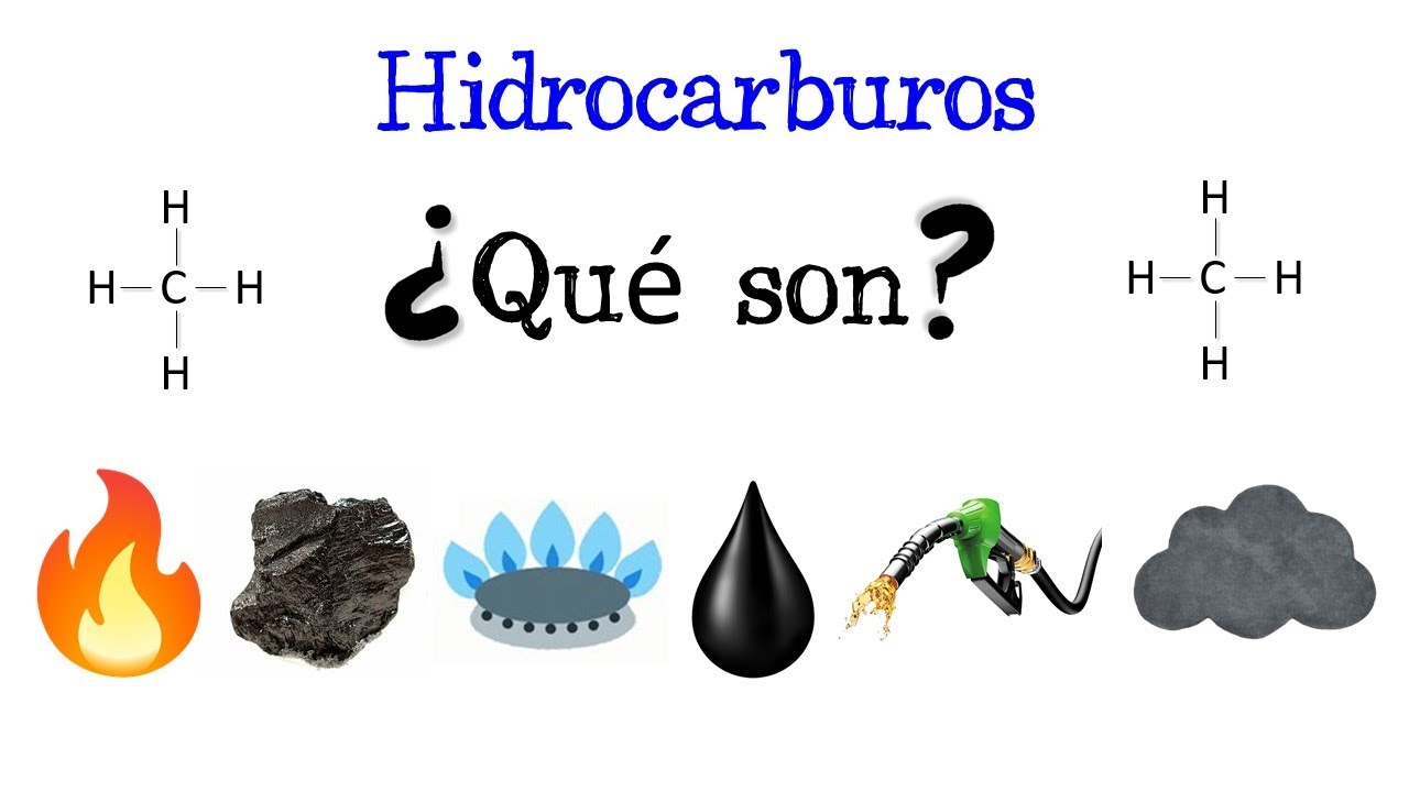 cual es la importancia de los hidrocarburos