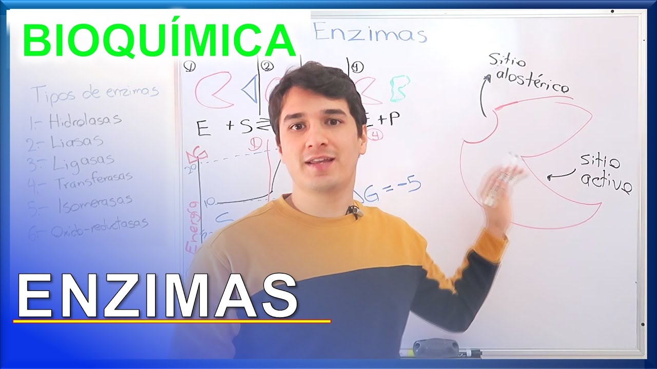 cual es la nomenclatura de las enzimas