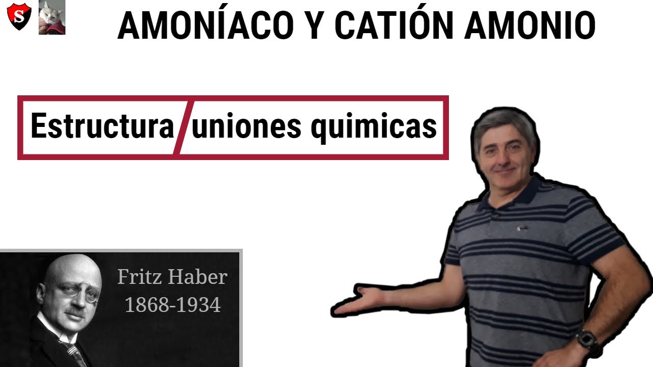 diferencia entre el amoniaco y el ion amonio