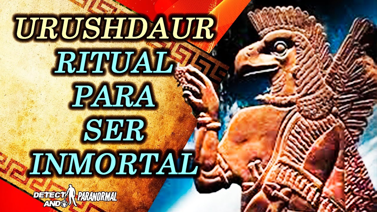 es la transferencia de una parte del cuerpo a otra