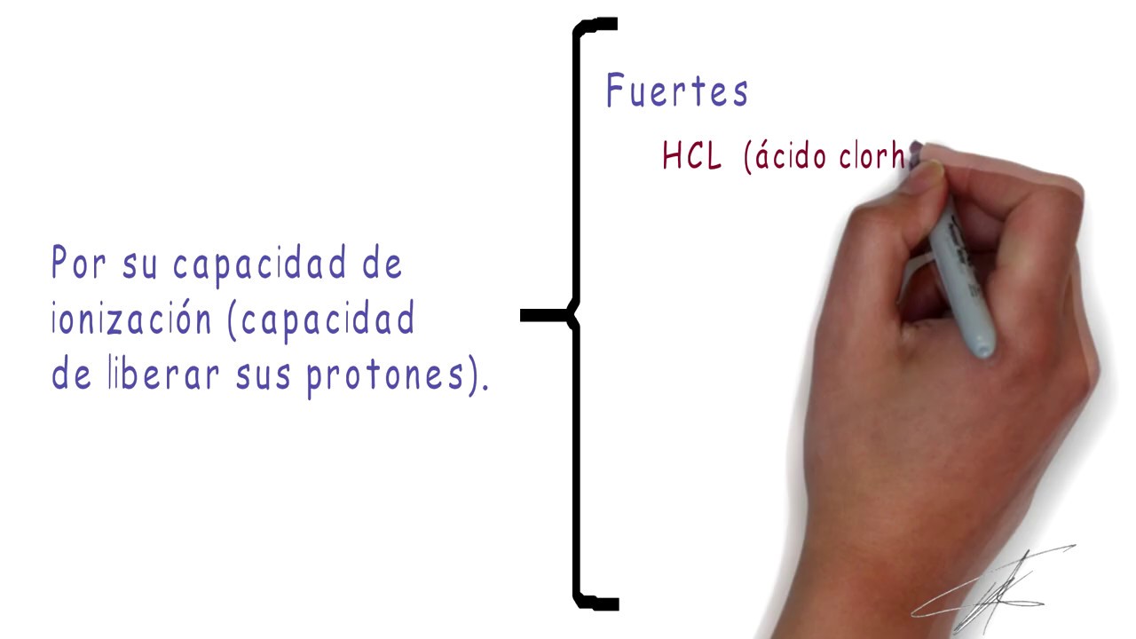 introduccion de los acidos y bases