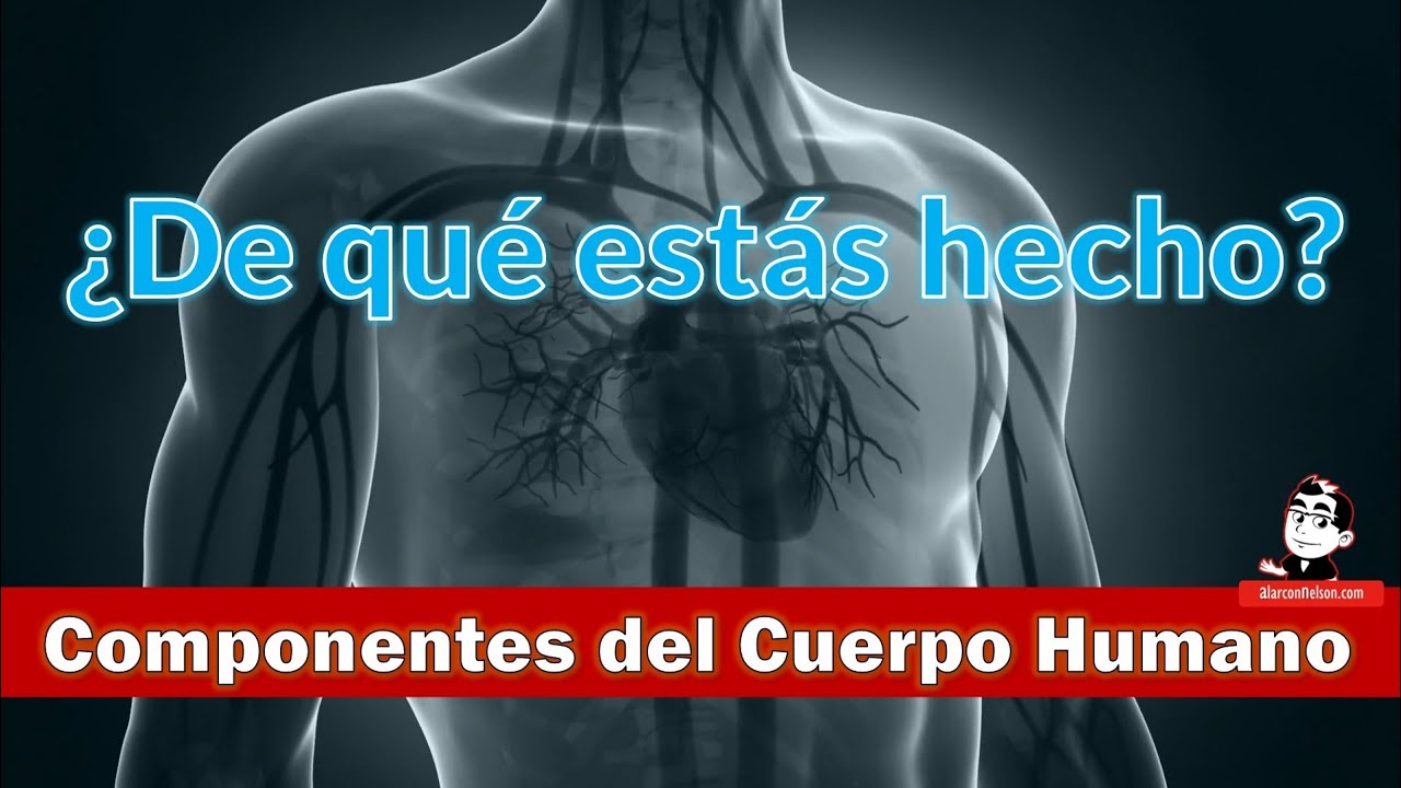 introduccion de los elementos quimicos en el cuerpo humano