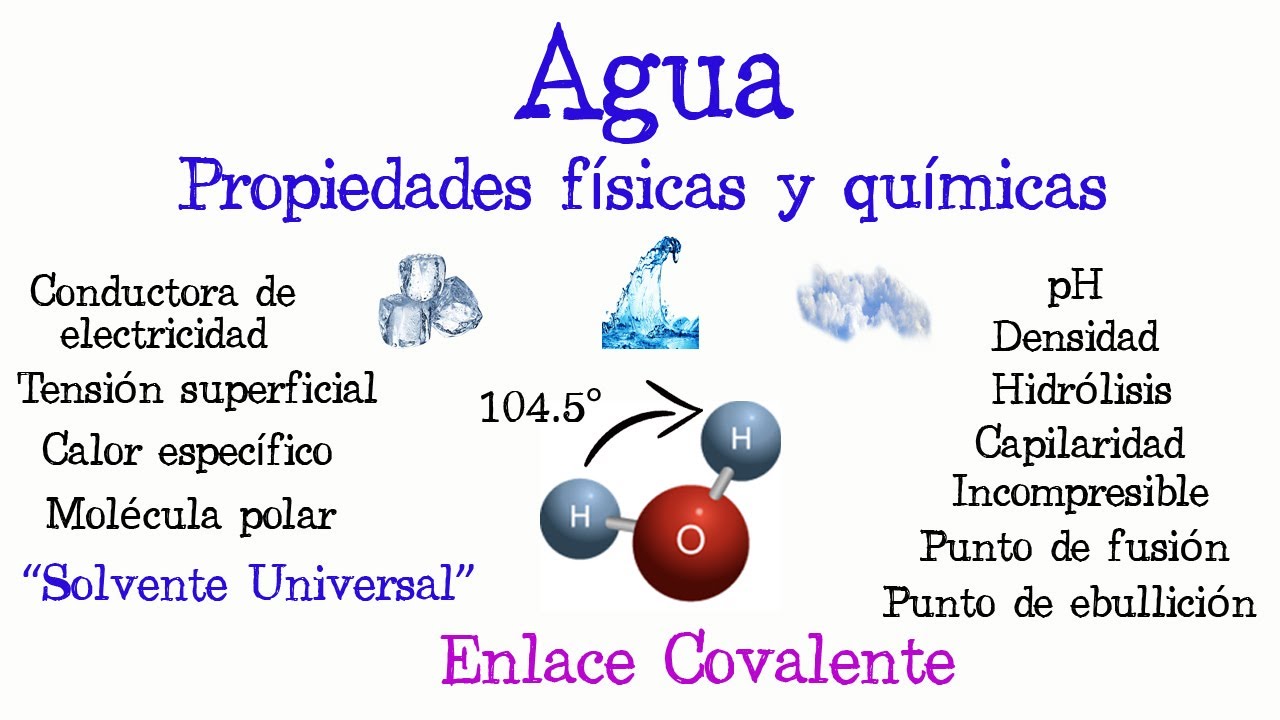 menciona una caracteristica de los principios fisico quimico y biologico