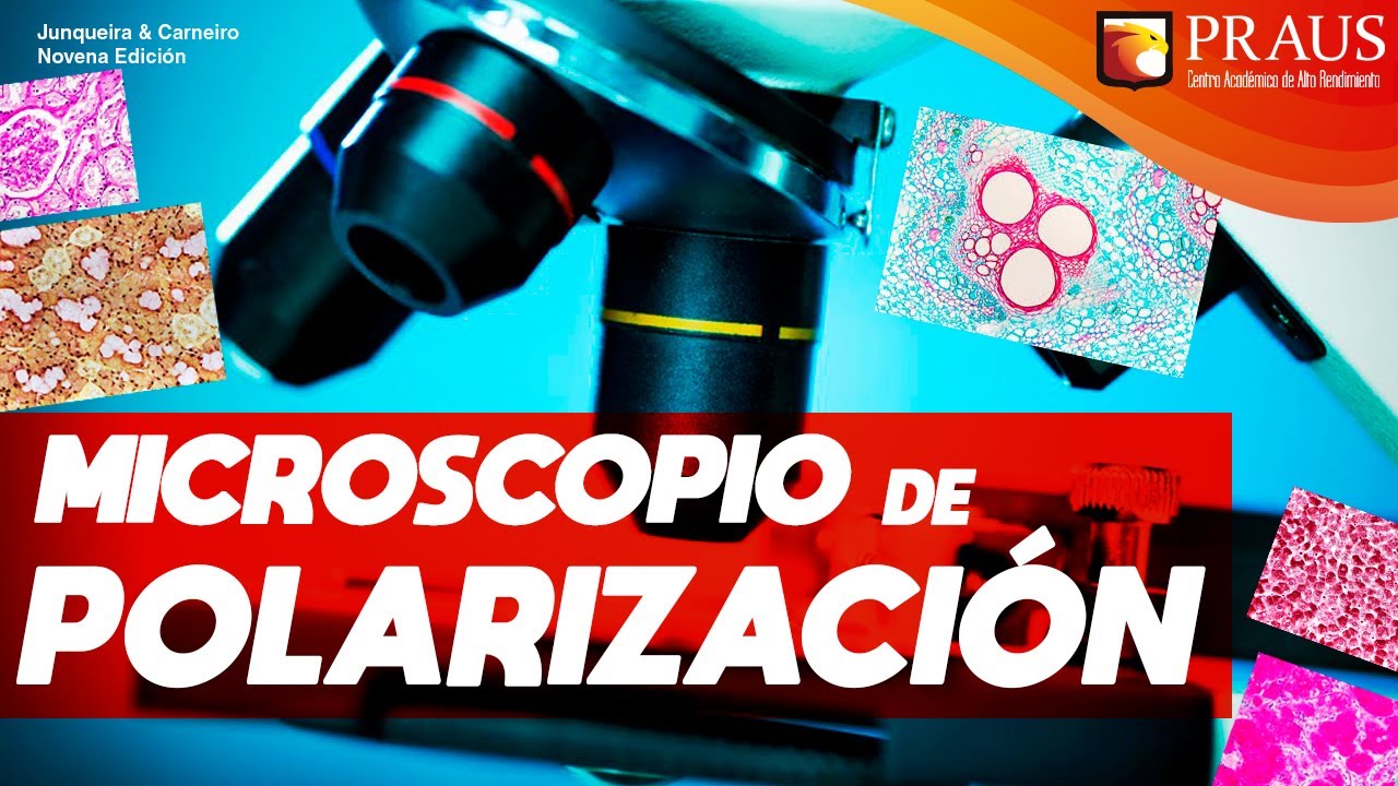 para que sirve el microscopio de polarizacion
