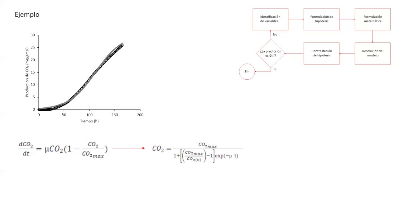 pasos para construir un modelo matematico