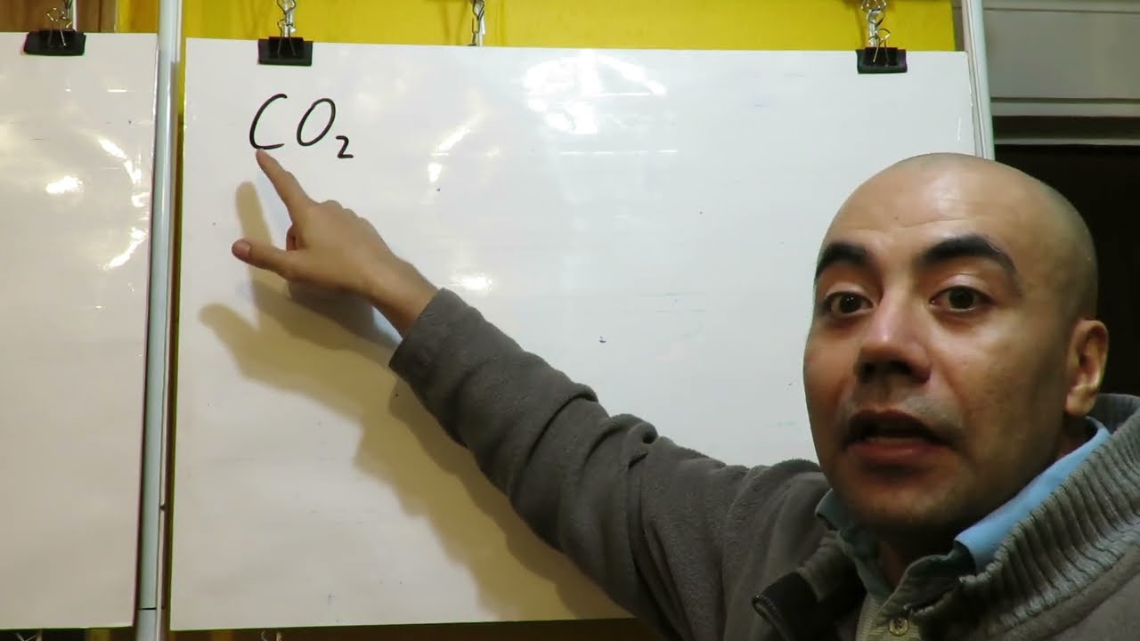 peso molecular del dioxido de carbono