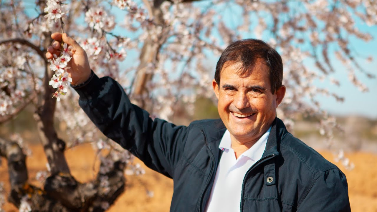 porque se caen las flores del almendro